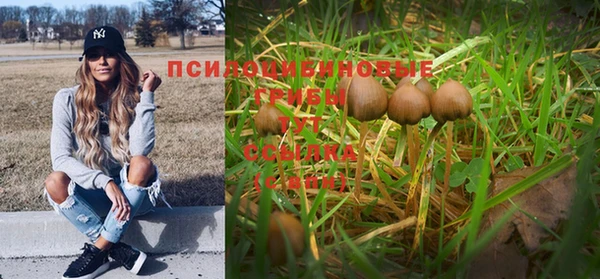гашишное масло Волоколамск