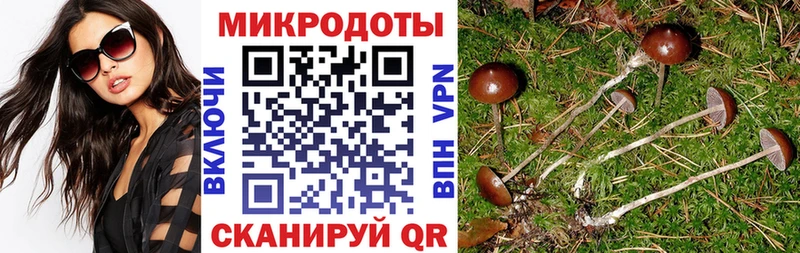 Галлюциногенные грибы ЛСД  закладка  Первомайск 